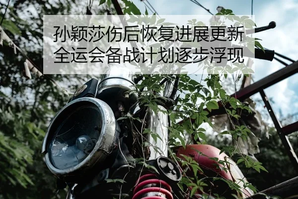 孙颖莎伤后恢复进展更新 全运会备战计划逐步浮现