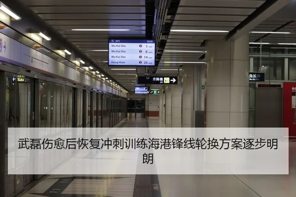 武磊伤愈后恢复冲刺训练海港锋线轮换方案逐步明朗