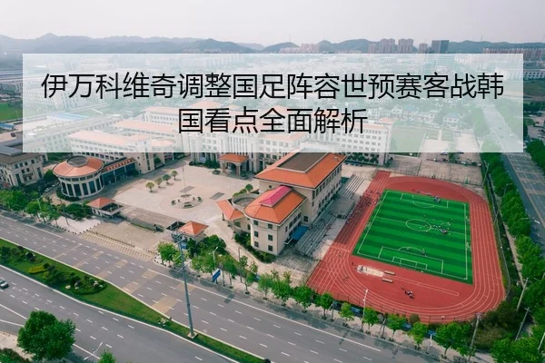 伊万科维奇调整国足阵容世预赛客战韩国看点全面解析