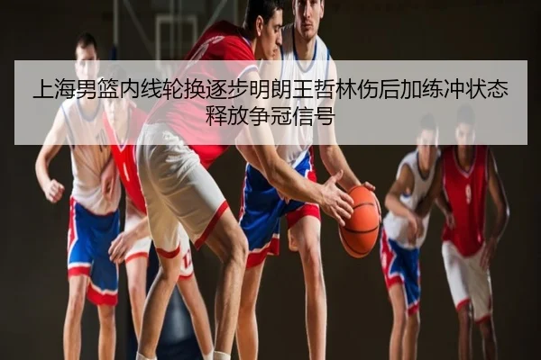 上海男篮内线轮换逐步明朗王哲林伤后加练冲状态释放争冠信号