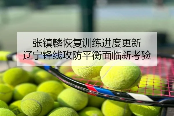 张镇麟恢复训练进度更新 辽宁锋线攻防平衡面临新考验